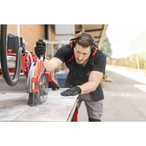 Rubi DCX250XPERT1250 220V Electric Tile Cutter, for Porcelain, Stoneware and Ceramic Tiles